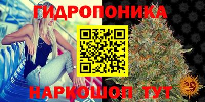 шишки Апрелевка