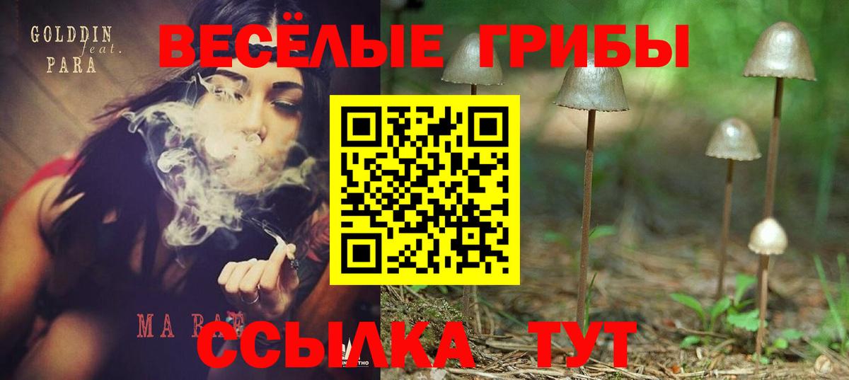 Галлюциногенные грибы Psilocybine cubensis  Вход с VPN  цена   Березники 